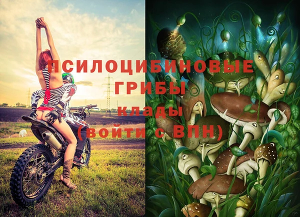 бошки Алексин