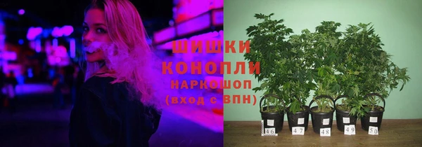 бошки Алексин