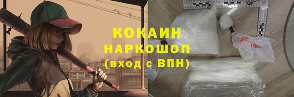 бошки Алексин