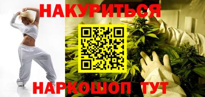 гашик Майкоп