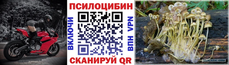 купить наркотик  Сорочинск  Галлюциногенные грибы мицелий 